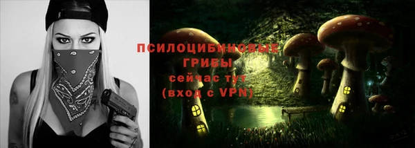 соль ск Гусиноозёрск