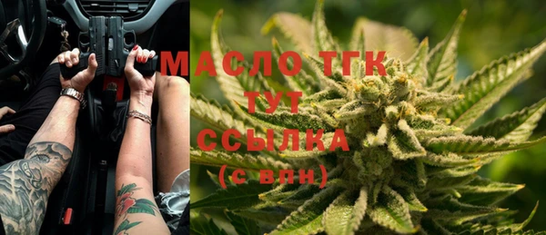 хмурый Дмитров