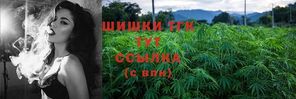 хмурый Дмитров